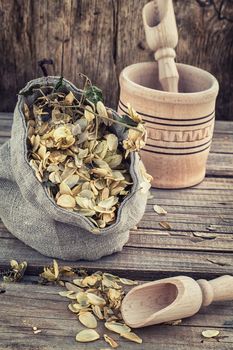 bag of harvest of dried hop cones in  rustic style on wooden background