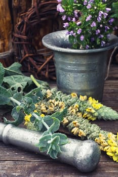 Cut  bunch medicinal plants,mortar on wooden table.Toned.