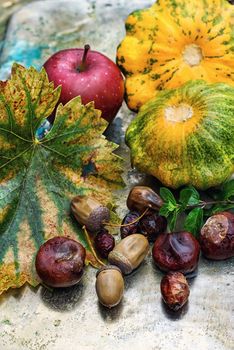 Squash,chestnuts and acorns on the table in the autumn weather