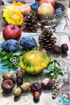 Squash,chestnuts and acorns on the table in the autumn weather