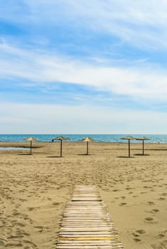 Wooden parasols on sandy seaside 