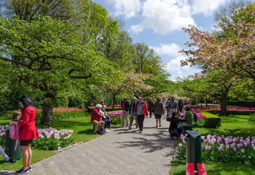 Lisse, The Netherlands - May 7, 2015: Tourists visit famous garden in Keukenhof on May 7, 2015. Keukenhof is the most beautiful spring garden in the world.