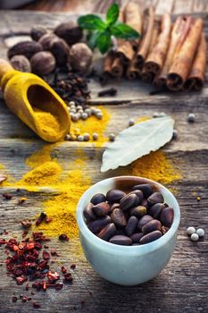 Seasoning with spices in wooden spoons on wooden table in rustic style.Pepper,cinnamon,cloves and mint