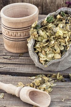 bag of harvest of dried hop cones in  rustic style on wooden background