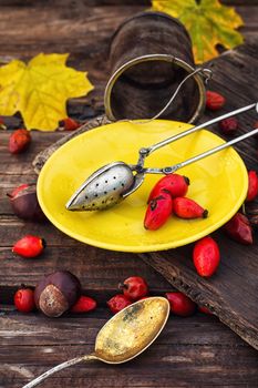 Dogrose berries and maple autumn leaves against the yellow saucer