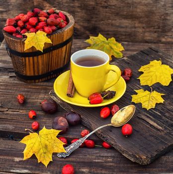 Dogrose berries and maple autumn leaves against the yellow saucer