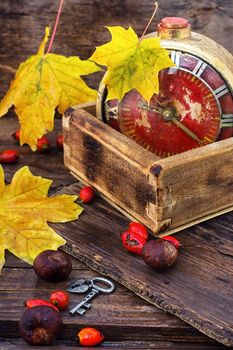 retro alarm clock with dial with Arabic numerals on a background with maple leaves and wild roses