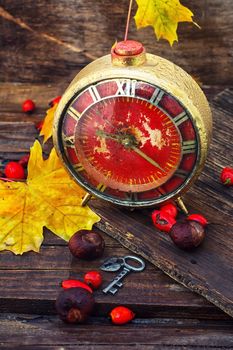 still life with alarm clock maple leaf and chestnuts