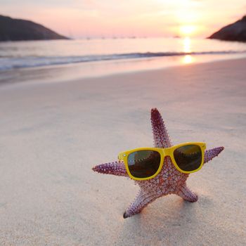 Starfish on the beach and beautiful sunset over the sea background