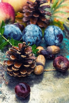 Empty autumn pinecone,acorns and chestnuts on metal surface