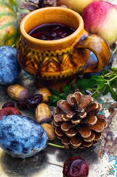 Stylish cup of autumn tea infused with herbs on the background of the fruit