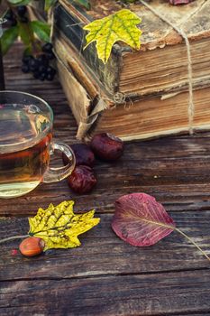 Cup of herbal tea amid the bundles of old books in the autumn style