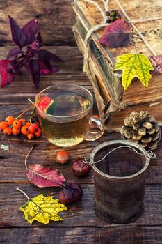 Cup of herbal tea amid the bundles of old books in the autumn style