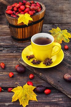 Yellow cup with tea,brewed in the tea with fruits berries of dog-rose on background of leaves and chestnuts
