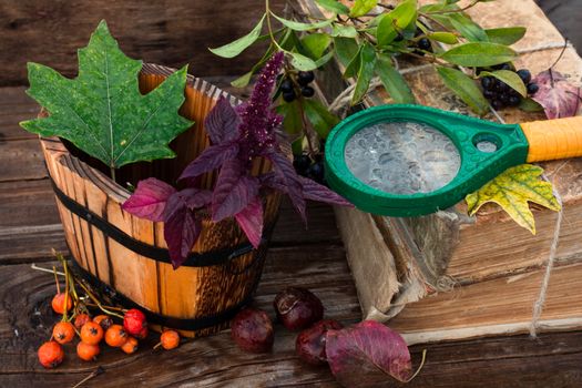 Autumn still life with autumn leaves,old books and wooden bucket