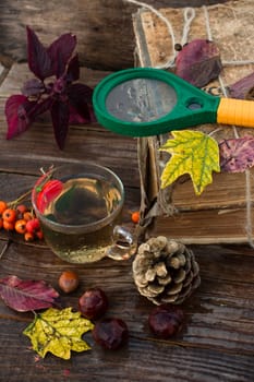 Autumn still life with autumn leaves,old books and wooden bucket