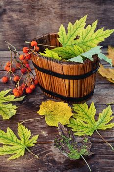 Wooden bucket with fallen autumn leaves on wooden background