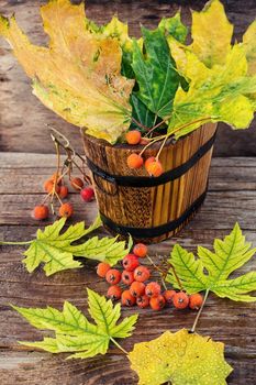 Wooden bucket with fallen autumn leaves on wooden background