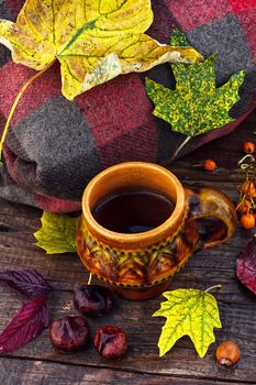 clay mug on background of warm blanket,strewn with autumn leaves