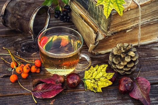 Transparent cup with herbal tea on the table strewn with autumn leaves,chestnuts and pine cones