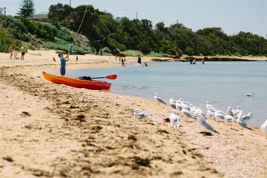 MELBOURNE/AUSTRALIA - FEBRUARY 6: A young boy plays with his water gun next to a small red boat at the beach with seagulls looking on and other people swimming in the background. The photo was taken at Ricketts Point in Melbourne in February.