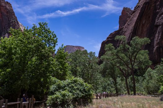 Zion National Park, Utah. A land filled with steep cliff, forests and blue sky.