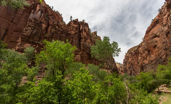 Zion National Park, Utah.