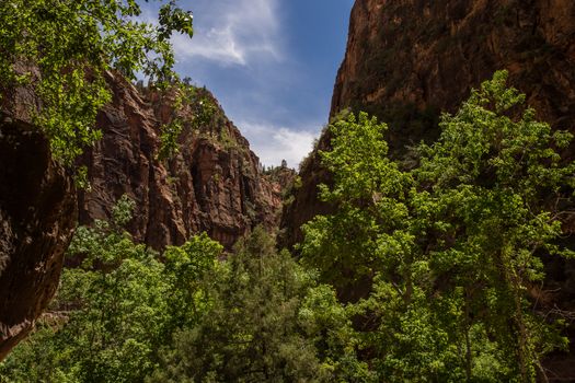 Zion National Park, Utah. A land filled with steep cliff, forests and blue sky.