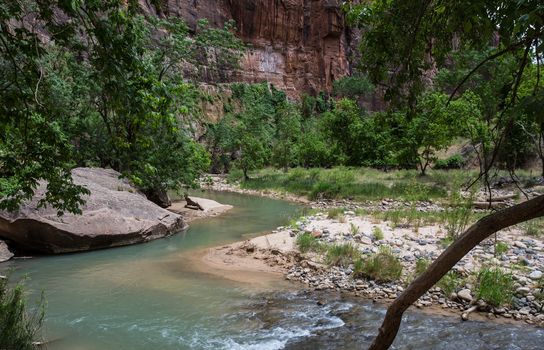 The Virgin River in Zion National Park in Utah.