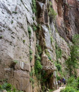 The Narrows trail in Zion National Park in Utah.