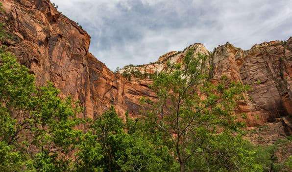Zion National Park, Utah. A land filled with steep cliffs and forests.