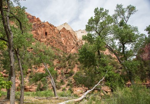 Zion National Park, Utah. A land filled with steep cliffs and forests.