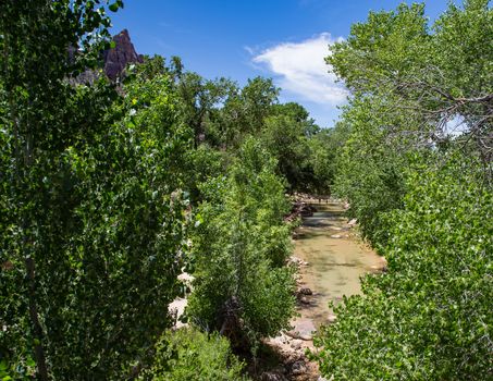 The Virgin River in Zion National Park, Utah.