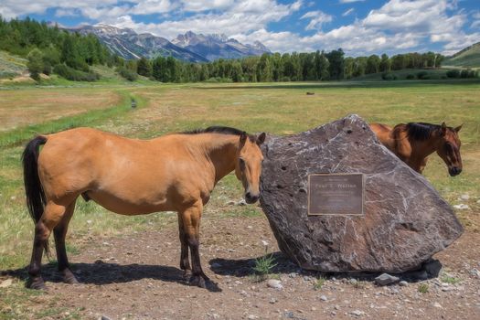 Memorial to Paul Walton a local geologist and cattle rancher.