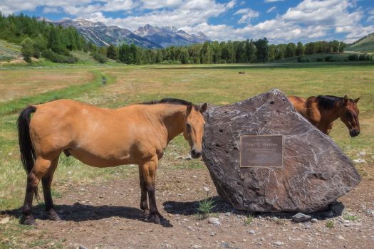 Memorial to Paul Walton a local geologist and cattle rancher.