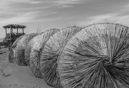 Wooden parasols on sandy seaside 