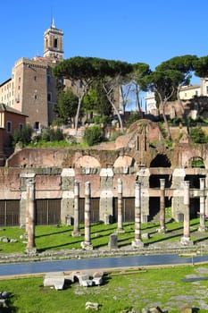The Roman Forum ruins in Rome, Italy