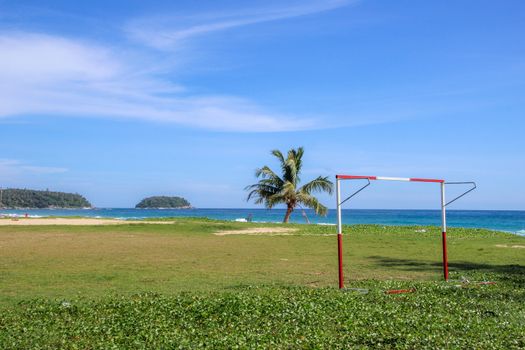 Soccer pitch by the beach with a palm tree.