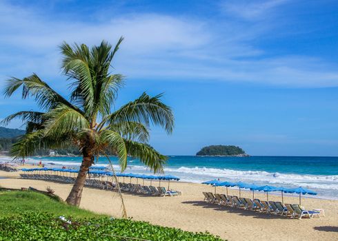 Relaxing beach chairs on the beach and palm tree.