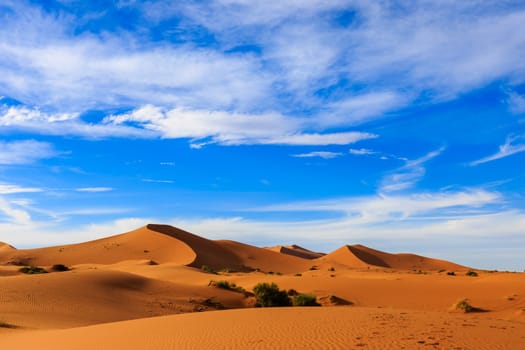 dune erg Chebbi in the blue sky, Morocco