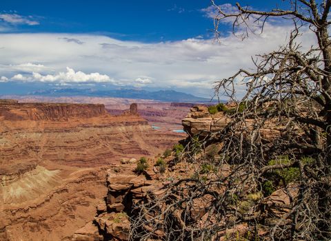 Dead Horse Point Overlook in Dead Horse Point State Park, Utah.