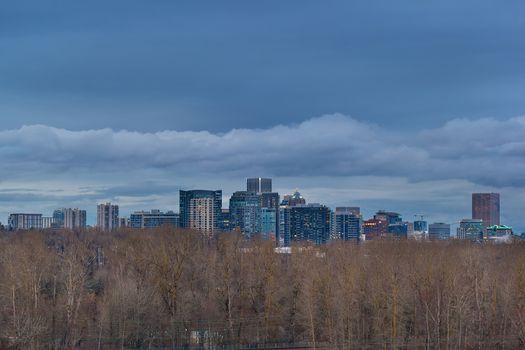 Portland Oregon Downtown city skyline nestled in Oaks Bottom Wildlife Refuge at Evening Blue Hour