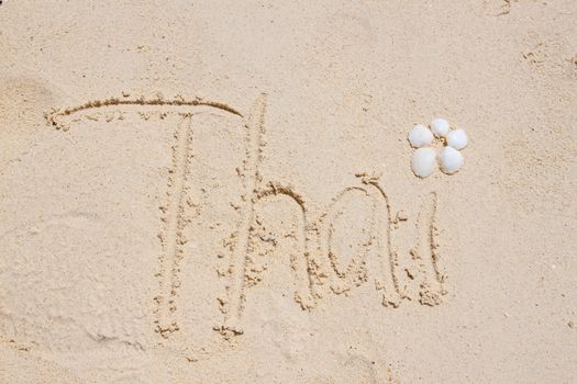 Summer vacation background with letters and white shells