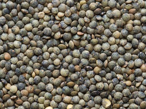 close up of dried french green puy lentil food background