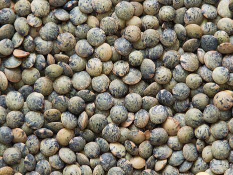 close up of dried french green puy lentil food background