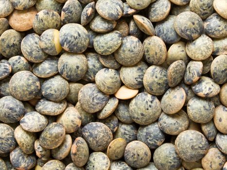 close up of dried french green puy lentil food background