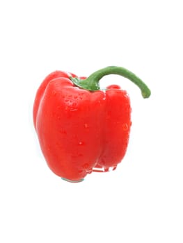 One red bell pepper with water drops on white background