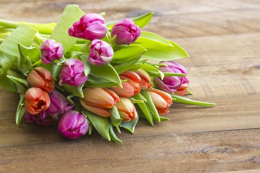 colourful tulips on wooden background