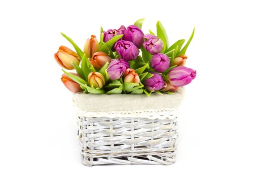 colourful tulips in a basket