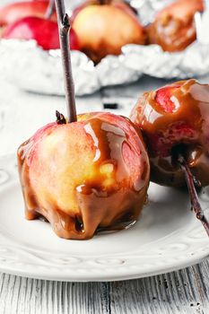 apples with toffee caramel decorated with branch
